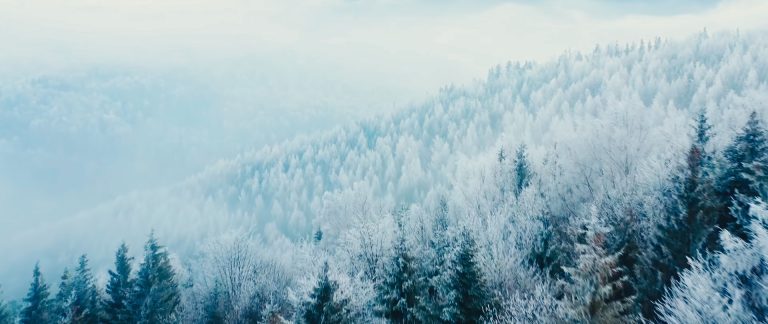 000_1.1.1