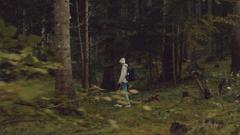 静帧 2026-04-16 001525_1.108.2